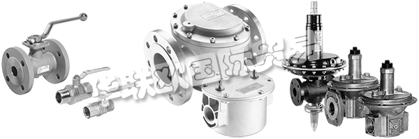 DUNGS是安全清潔氣體燃燒的同義詞,倡導與客戶緊密合作,