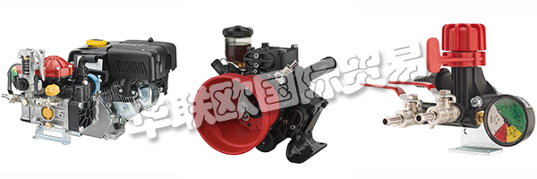 這ANNOVI REVERBERI提出了他多年，因為它開始收緊與認為真正的合作伙伴，