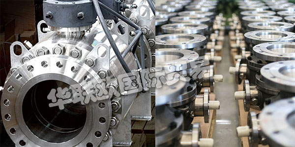 ALFA VALVOLE成立1971年于Casorezzo(米蘭)。在這里，意大利的第一批公司開始專業生產高質量的工業球閥。