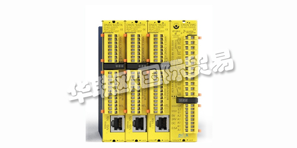 DINA,從友好的鄰里地下室創業到創新領導者。