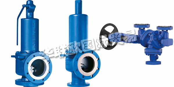 德國(guó)LESER主要產(chǎn)品:LESER閥門、安全閥等。LESER是歐洲最大的安全閥制造商,也是全球行業(yè)領(lǐng)先的公司之一。