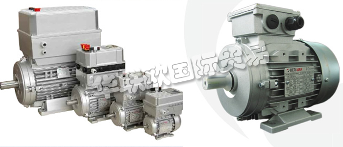 意大利BERMAR公司的主要產品包括:意大利BERMAR電機、BERMAR電動機、異步電機、異步電動機、永磁發動機、逆變器、伺服通風電動機、伺服電動機、工業洗衣機電動機、單相電動機、DRIVEJET鼓風機、高效電機、泵、風扇、工業壓縮機。