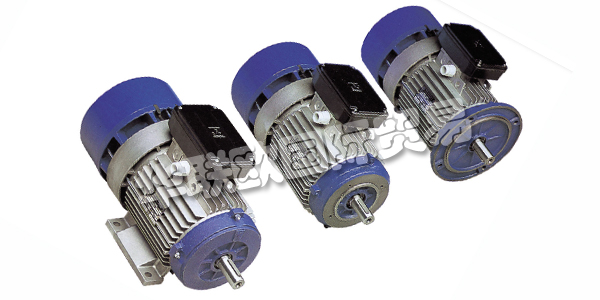 MGM是什么意思,MGM電機,MGM剎車電機,意大利MGM,意大利剎車電機,MGM型號,MGM剎車電機型號