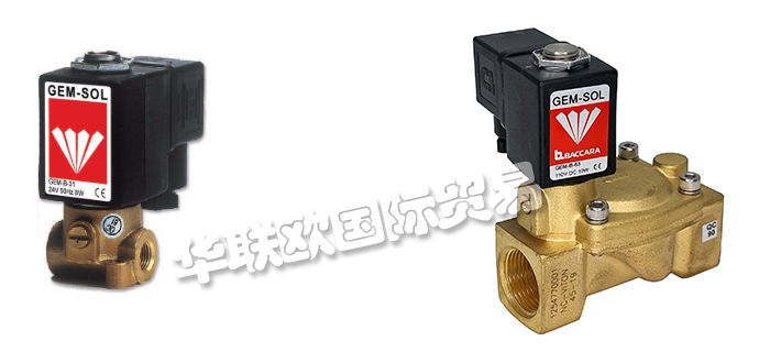低價(jià)經(jīng)銷(xiāo)以色列GEM-SOL電磁閥控制器