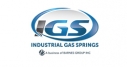 IGS